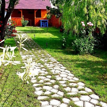 Вілла Casa Pavel Журіловка Екстер'єр фото