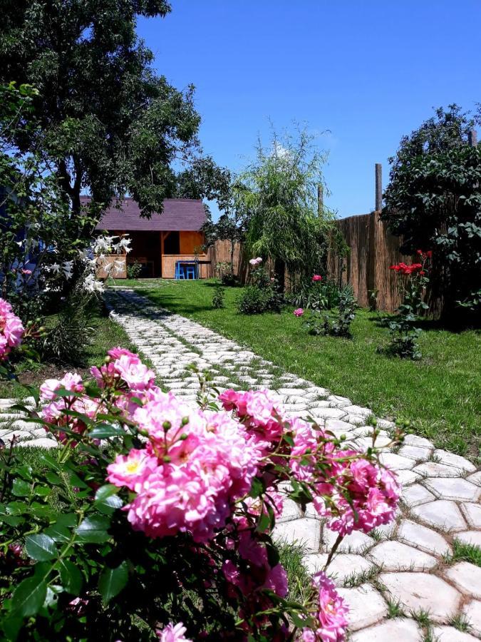 Вілла Casa Pavel Журіловка Екстер'єр фото